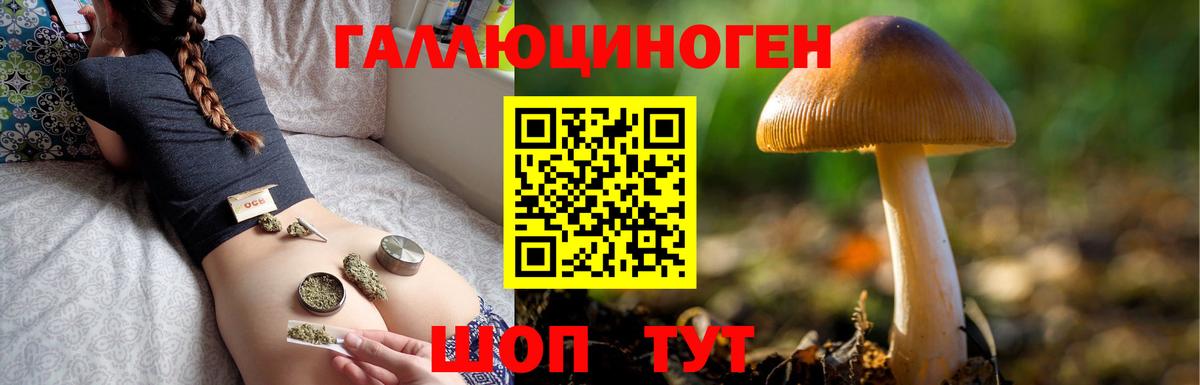 Керчь  Галлюциногенные грибы ЛСД  Вход с VPN 